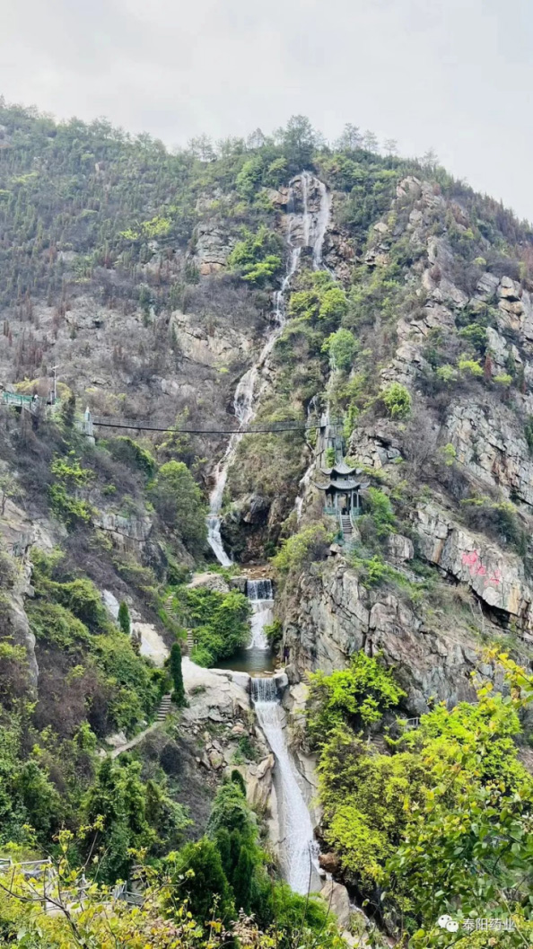 泰陽醫(yī)藥春游踏青