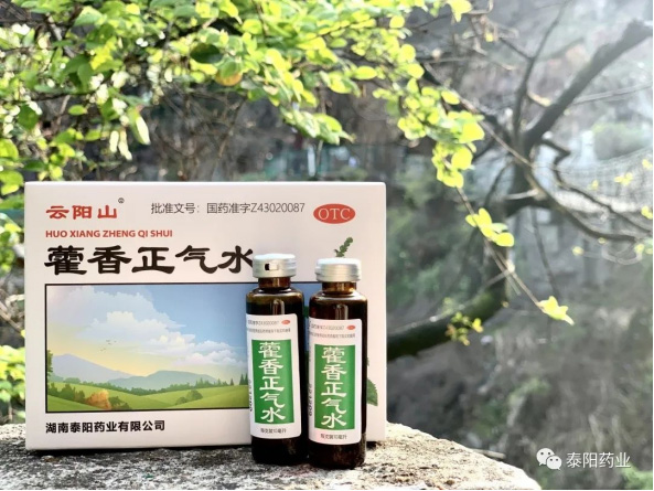 泰陽醫(yī)藥春游踏青