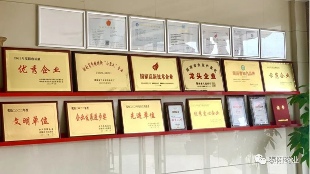 泰陽醫(yī)藥春游踏青